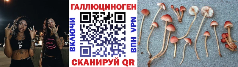 Купить закладки  Краснообск  Псилоцибиновые грибы Psilocybine cubensis 